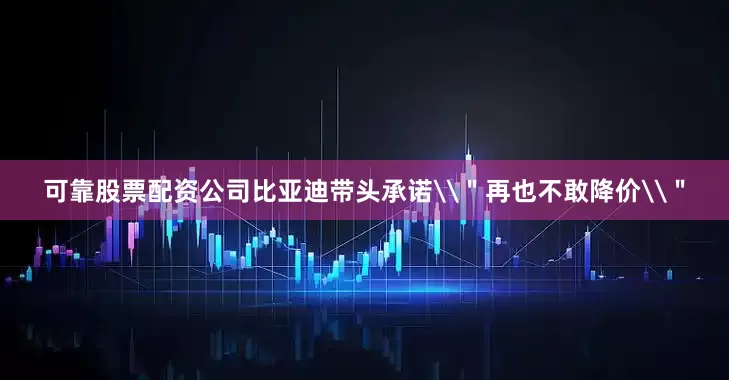 可靠股票配资公司比亚迪带头承诺\＂再也不敢降价\＂