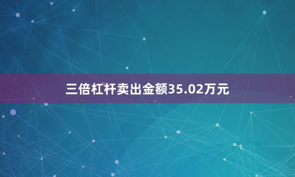 三倍杠杆卖出金额35.02万元